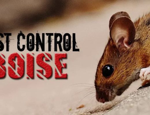 Best Pest Control Boise