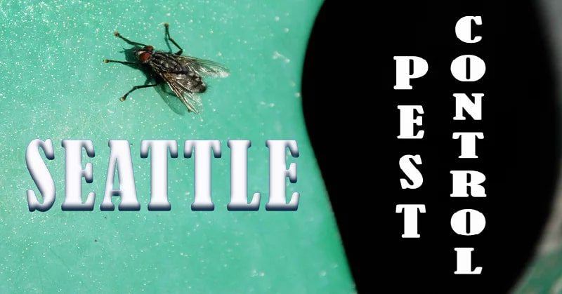 Best Pest Control Seattle