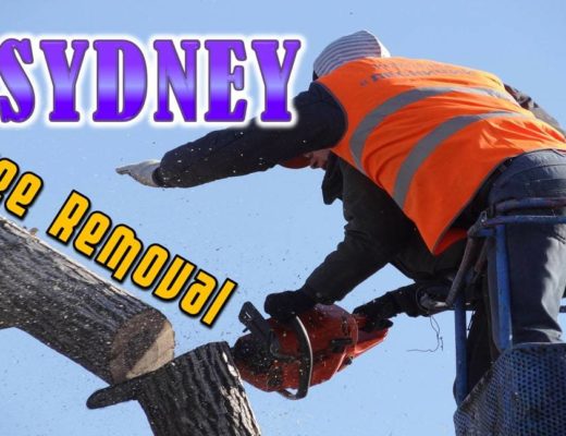Best Tree Removal Sydney