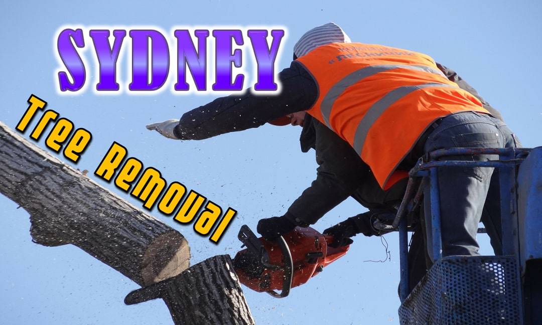 Best Tree Removal Sydney