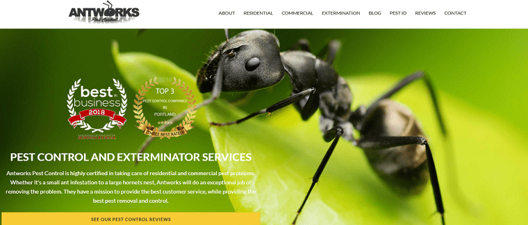 Antworks Pest Control's Homepage