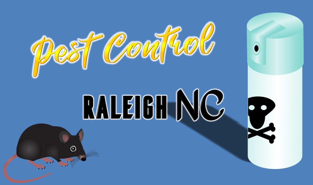 Best Pest Control Raleigh NC