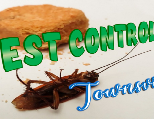 Best Pest Control Townsville
