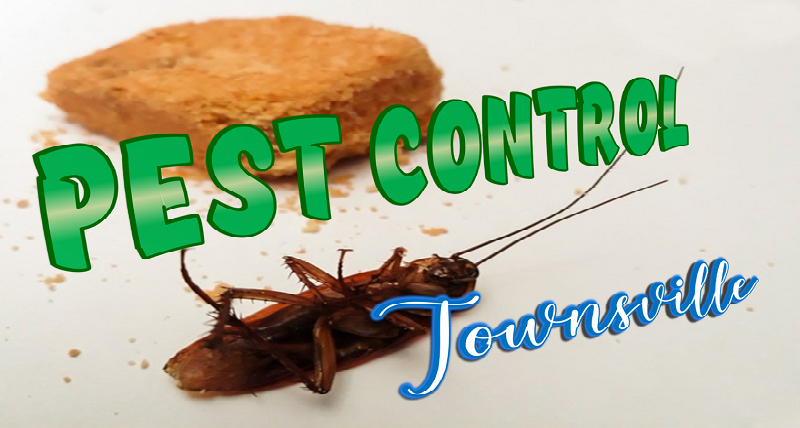 Best Pest Control Townsville