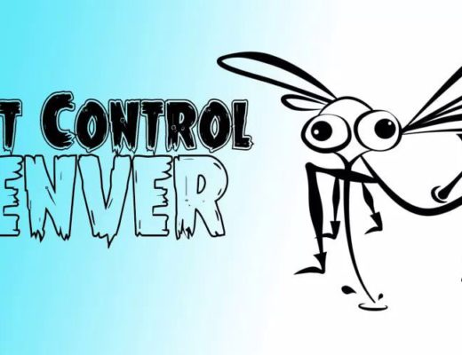 Best Pest Control Denver