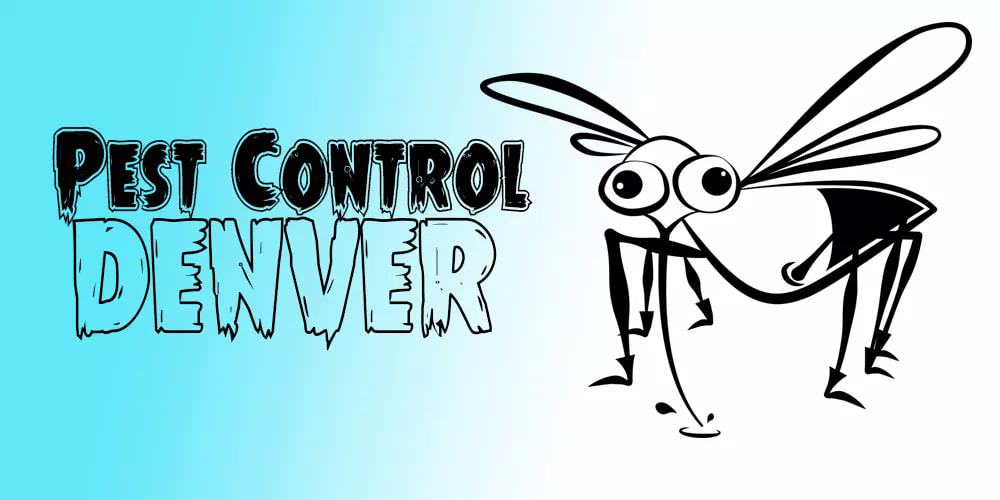 Best Pest Control Denver