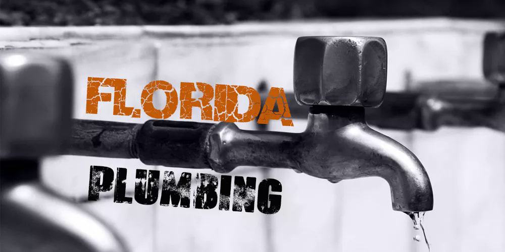 Best Plumbers Florida