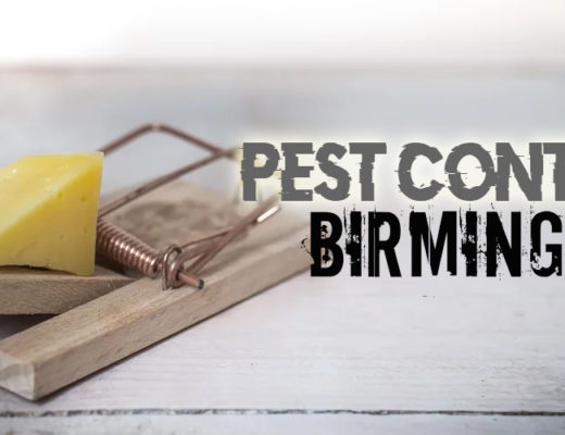 Best Pest Control Birmingham