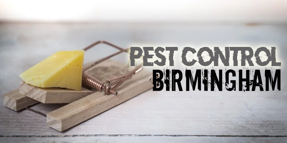 Best Pest Control Birmingham