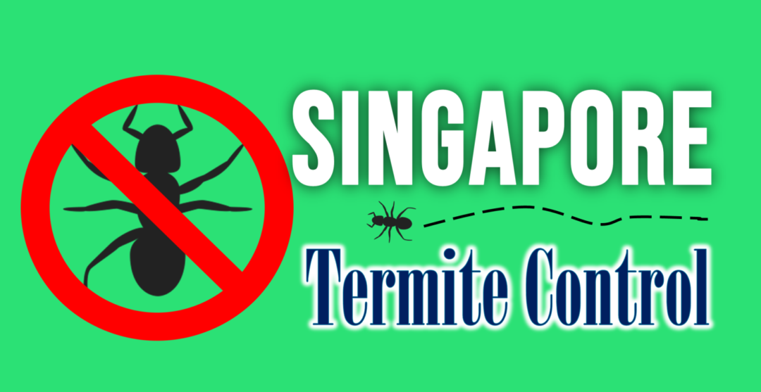 Best Termite Control Singapore