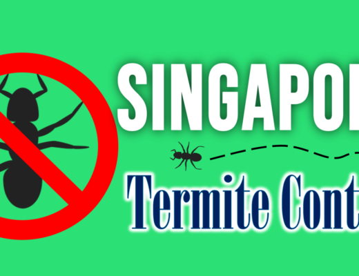 Best Termite Control Singapore