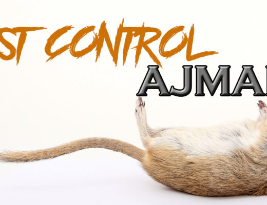 Best Pest Control Ajman