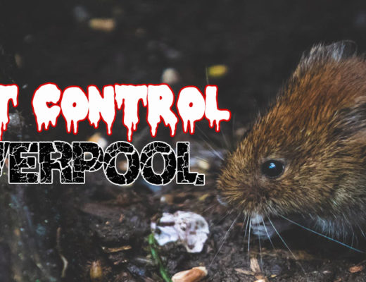 Best Pest Control Liverpool