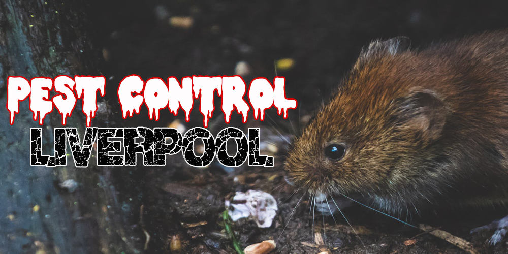 Best Pest Control Liverpool