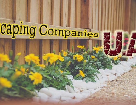 Best Landscaping Companies UAE