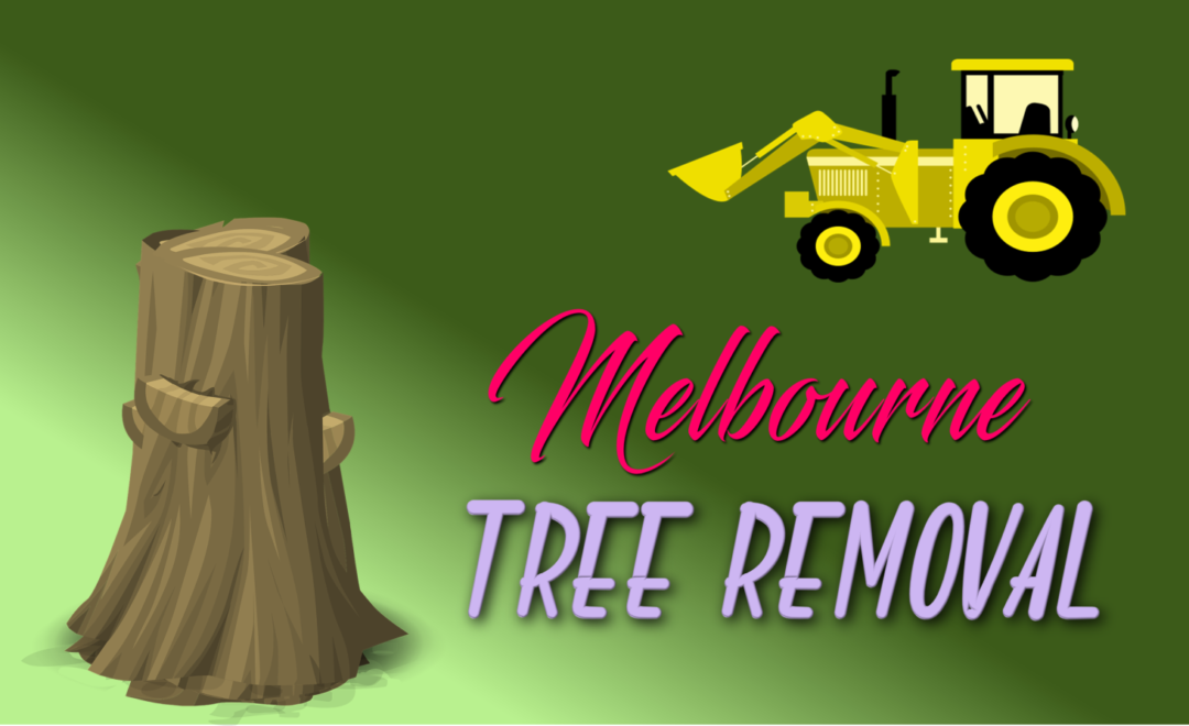 Best Tree Removal Melbourne