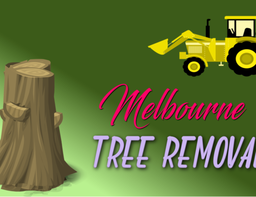 Best Tree Removal Melbourne