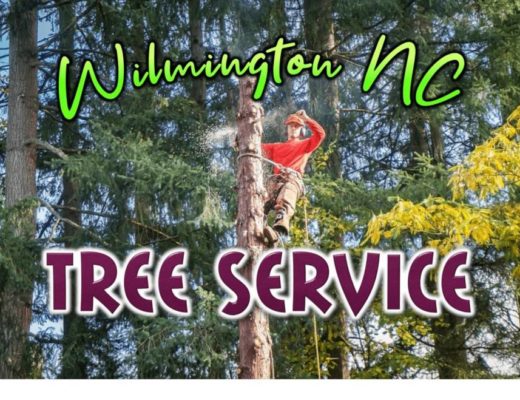 Best Tree Service in Wilmington, NC