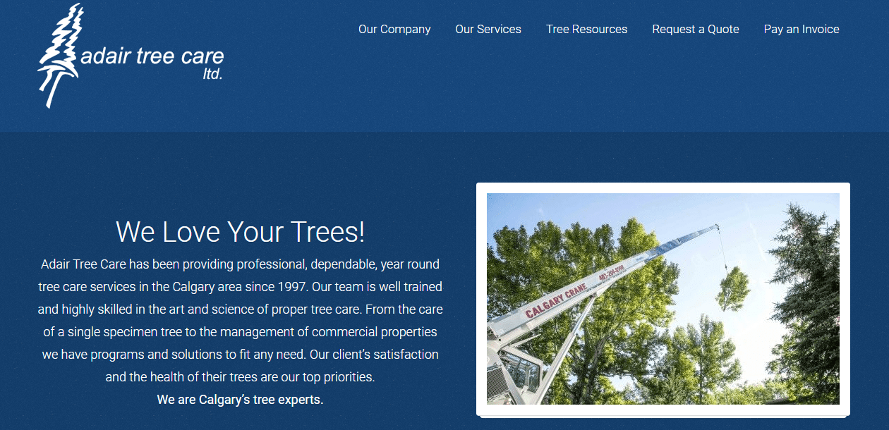 18+ Tree Care Services