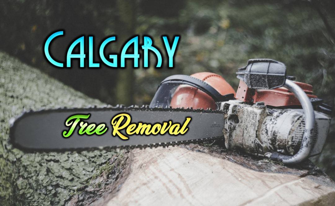 Best Tree Removal in Calgary