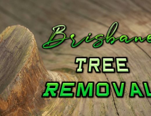 Best Tree Removal in Brisbane