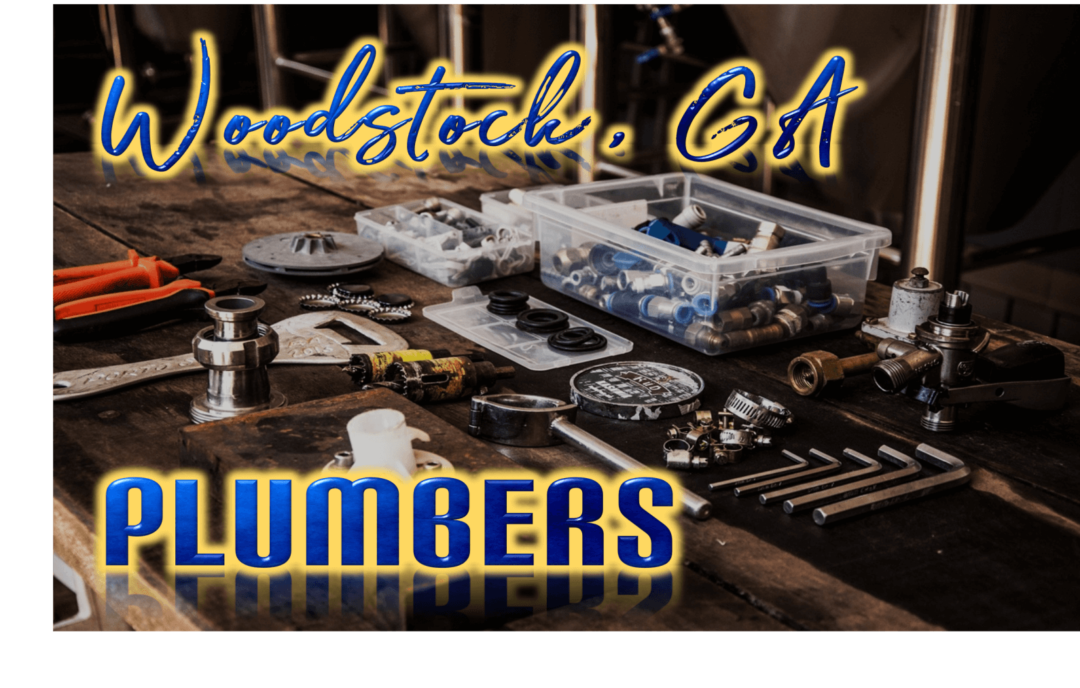 Best Plumbers in Woodstock, GA