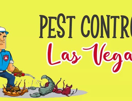 Best Pest Control Las Vegas