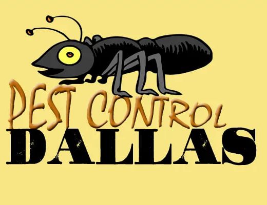 Best Pest Control Dallas