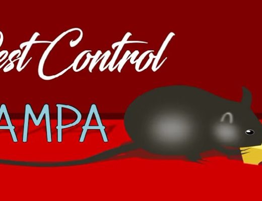 Best Pest Control Tampa