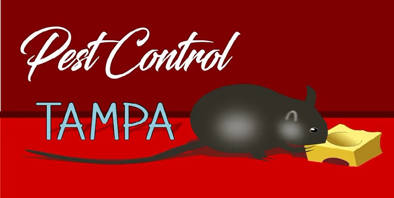 Best Pest Control Tampa