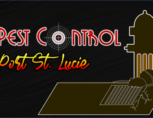 Best Pest Control in Port St. Lucie