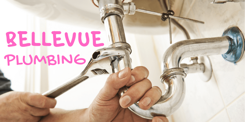Best Plumbers in Bellevue