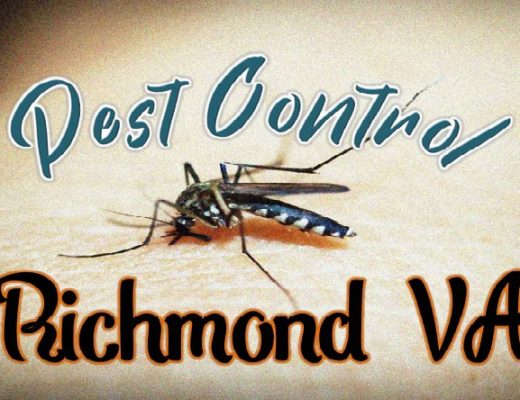 Best Pest Control Richmond VA