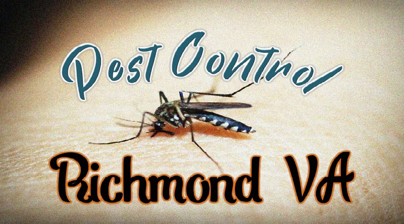 Best Pest Control Richmond VA