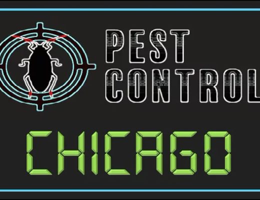 Best Pest Control Chicago