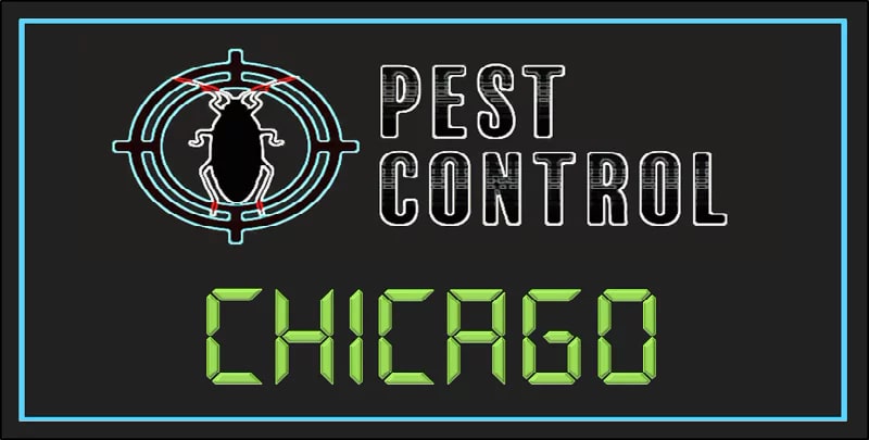 Best Pest Control Chicago
