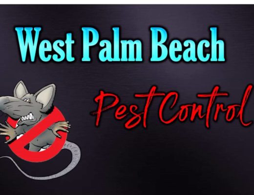 Best Pest Control in West Palm Beach