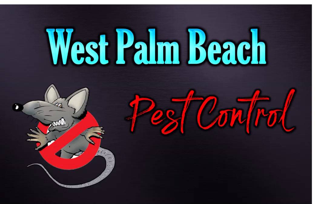 Best Pest Control in West Palm Beach