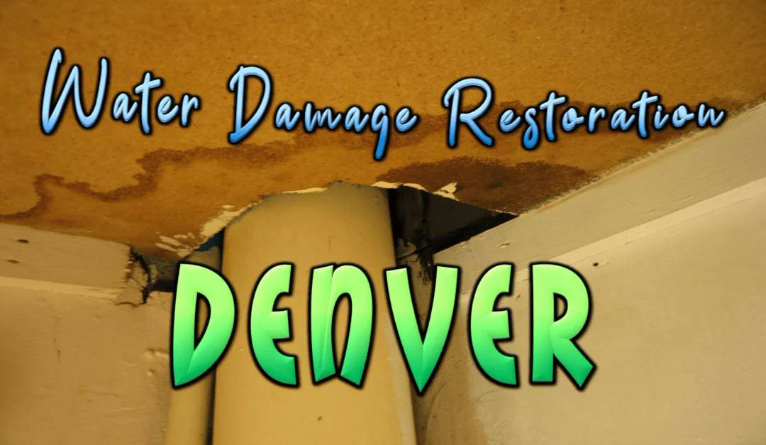 Best Water Damage Repair in Denver