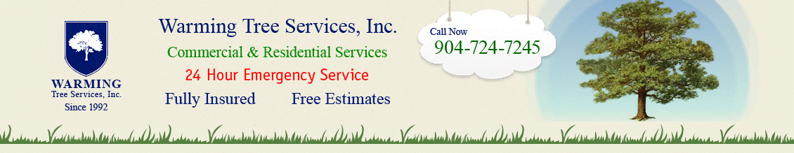 Warming Tree Services, Inc.'s Homepage
