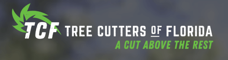 The 6 Best Options for Tree Service in Jacksonville, FL [2021]