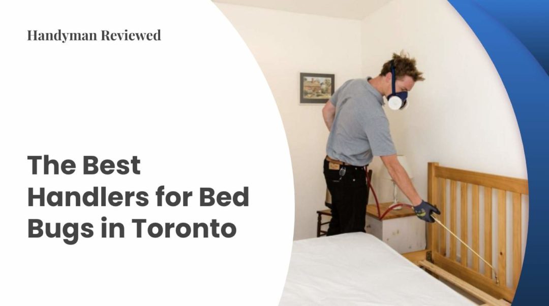 Best Handlers for Bed Bugs in Toronto