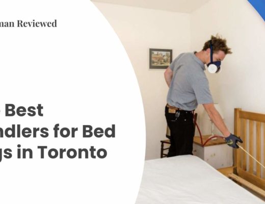 Best Handlers for Bed Bugs in Toronto