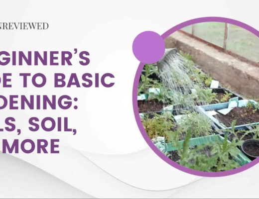 A Beginner's Guide to Basic Gardening; Tools, Soil, and More
