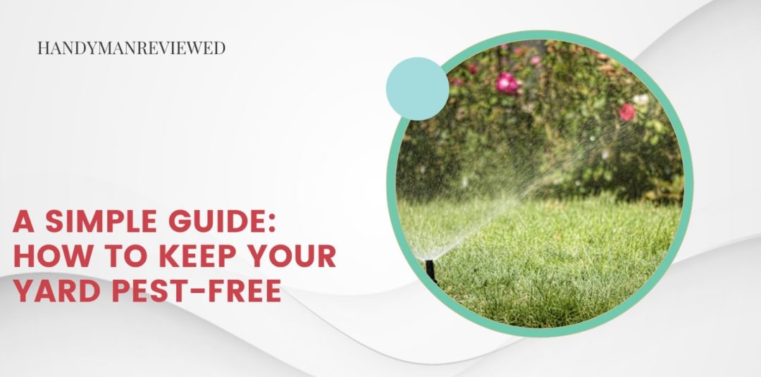 A Simple Guide How to Keep Your Yard Pest-Free