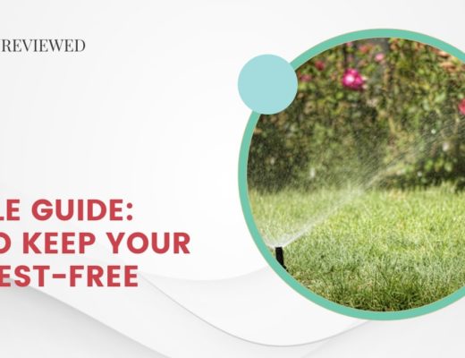 A Simple Guide How to Keep Your Yard Pest-Free