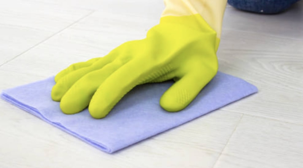 Blot the urine puddle