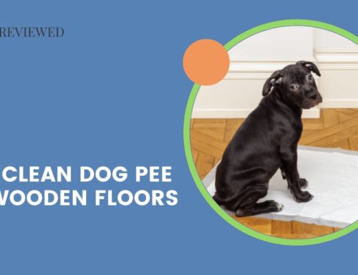 How to Clean Dog Pee off of Wooden Floors