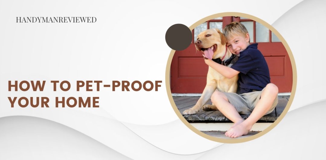 How to Pet-Proof Your Home