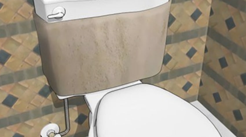 Moist toilet tank